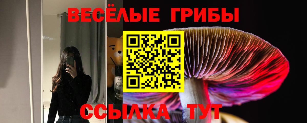 Галлюциногенные грибы Psilocybine cubensis Рузаевка
